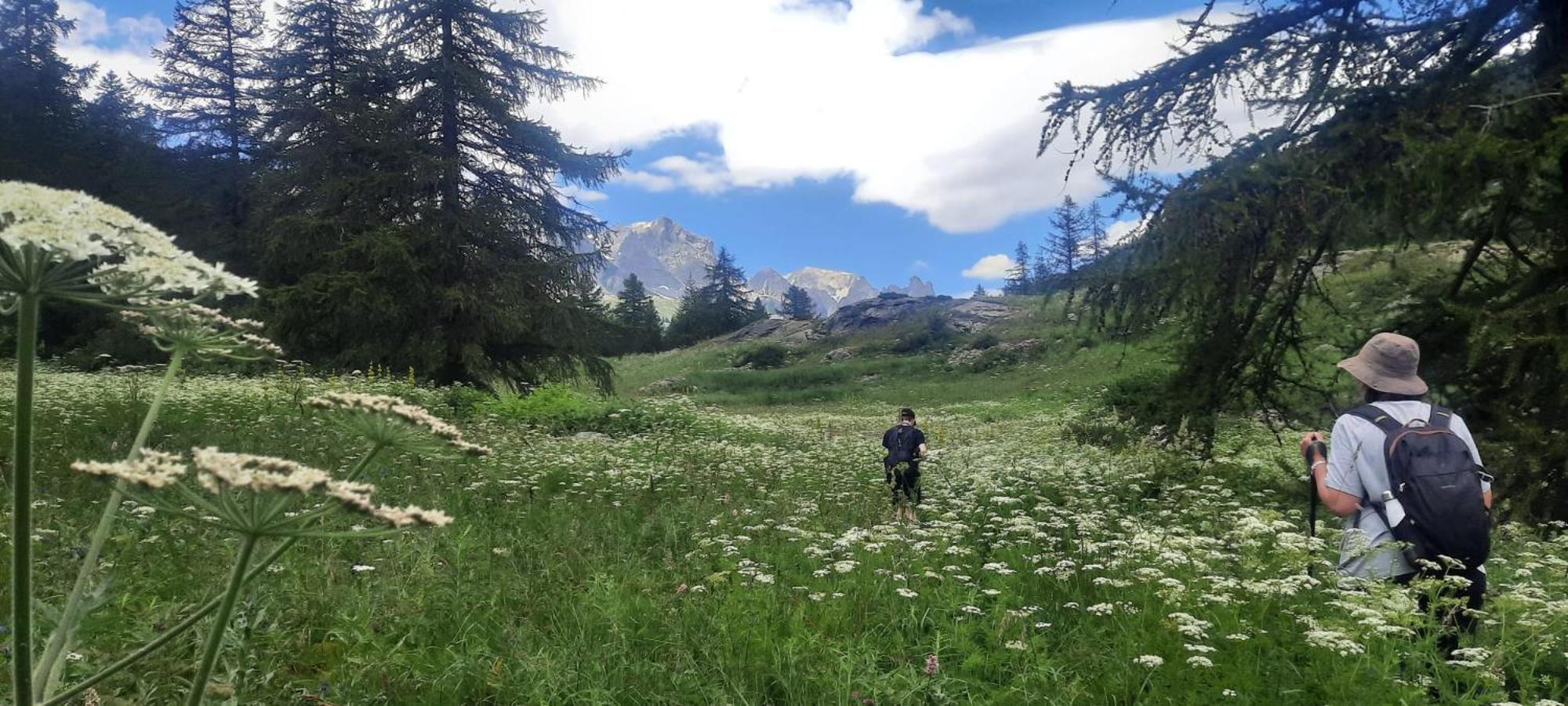 Superbe T2 A 2 Pas Des Pistes Et Des Sentiers De Randonnee Apartment Briancon  Luaran gambar